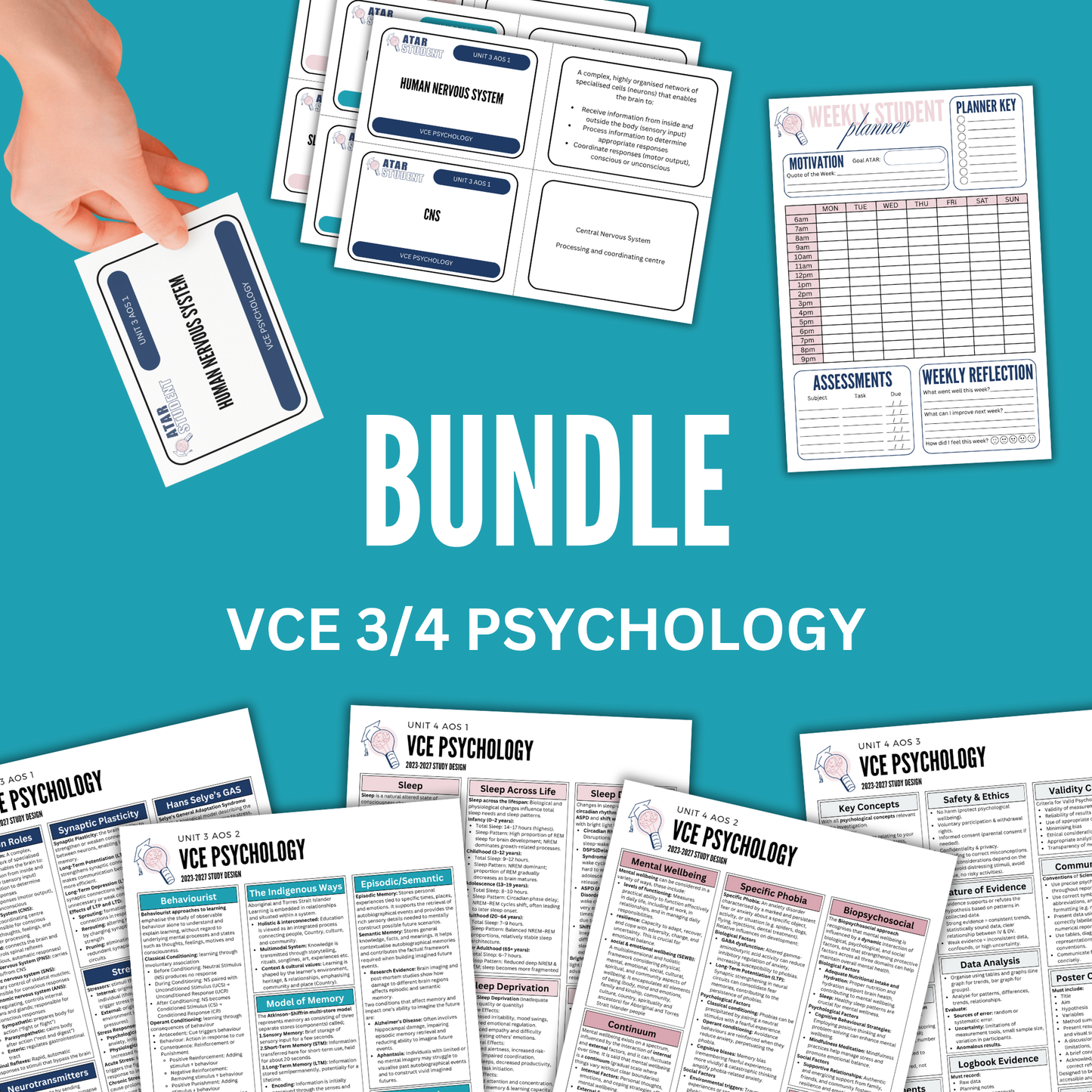 VCE 3/4 Psychology Summary Notes