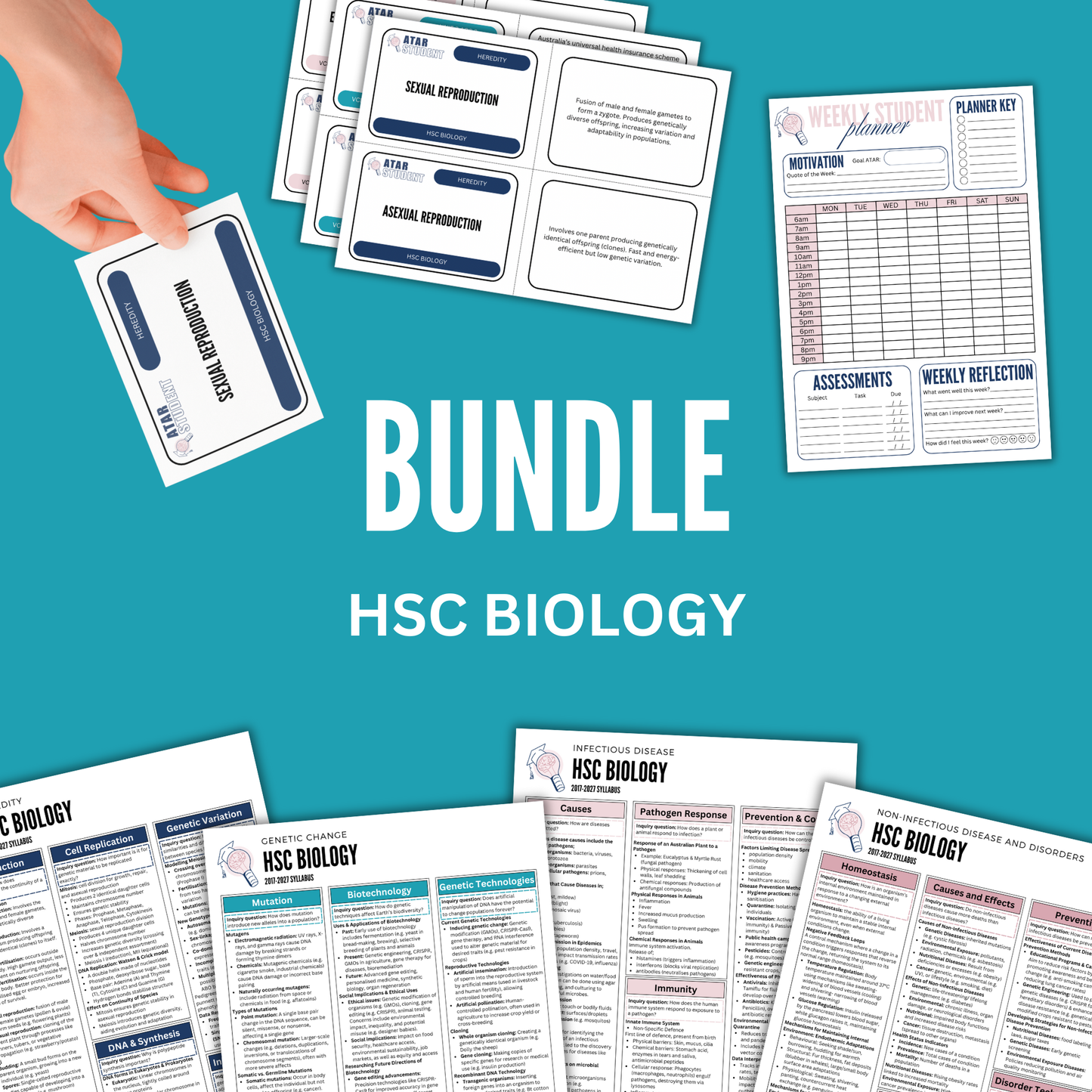 HSC Biology Summary Notes