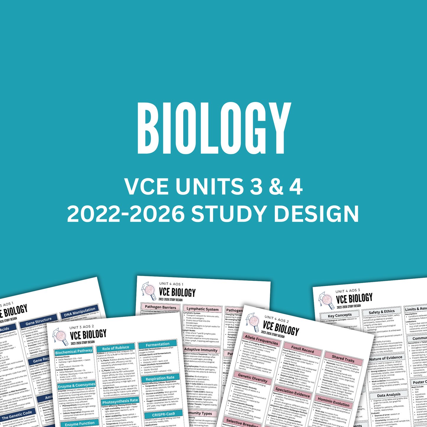 VCE 3/4 Biology Summary Notes