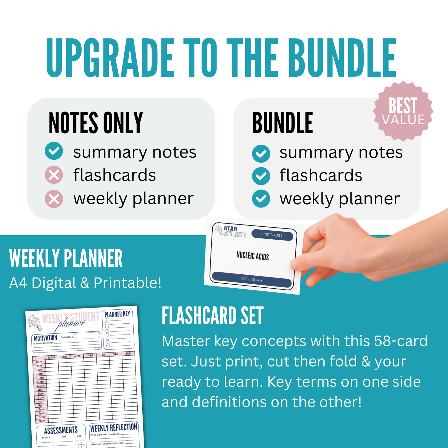 VCE 3/4 Biology Summary Notes
