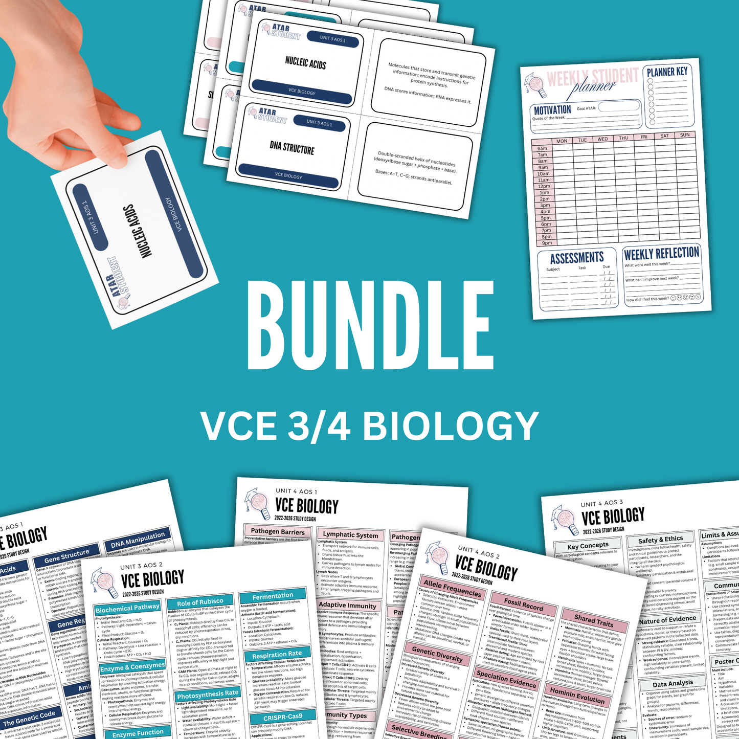 VCE 3/4 Biology Summary Notes