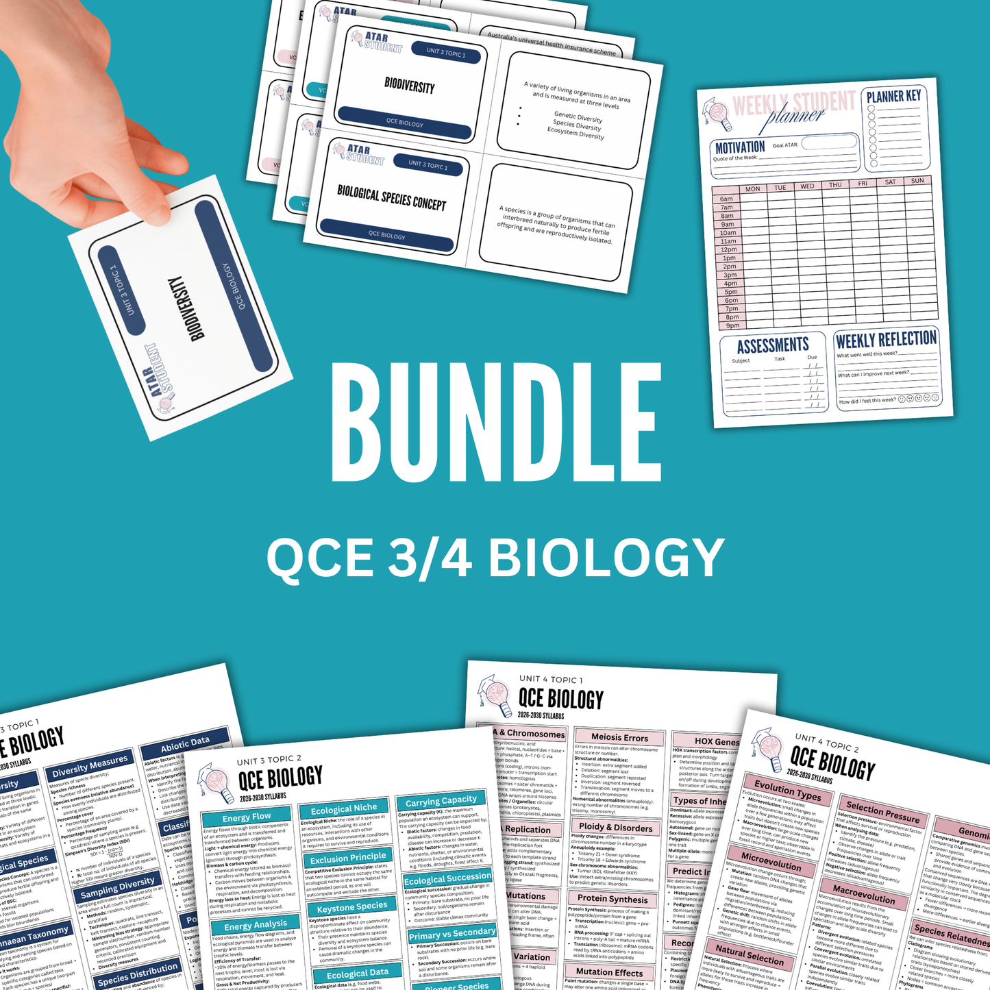 QCE 3/4 Biology Summary Notes